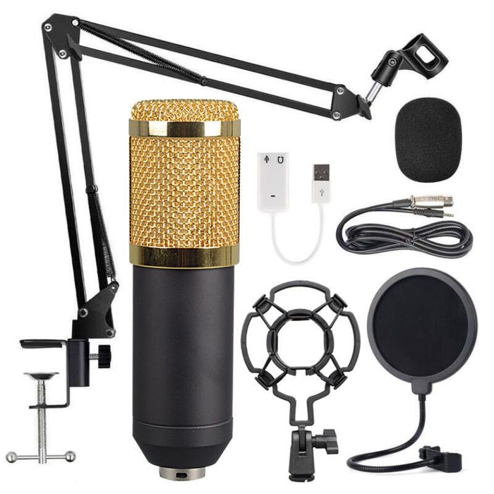Hot Sale BM800 Condenser Microphone SetProfessional Audio Studio Microphone with Stand Filter